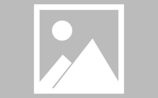 顺德网页设计师周记（网页设计周记26篇300字）