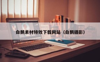 顺德白鹅素材特效下载网站（白鹅摄影）